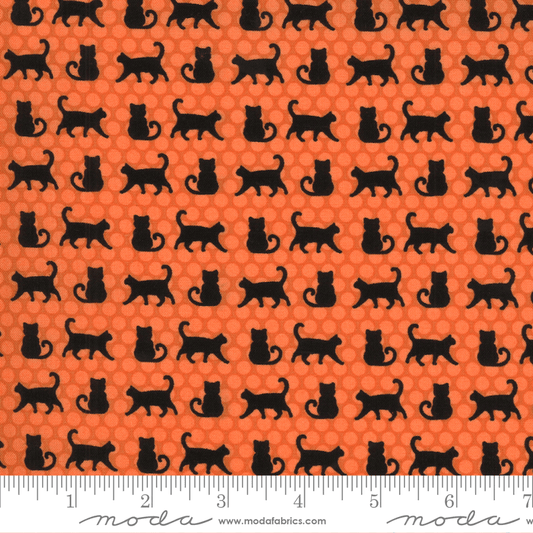 Moda Fabrics Midnight Magic 2 Pumpkin Cat Parade 24102-14
